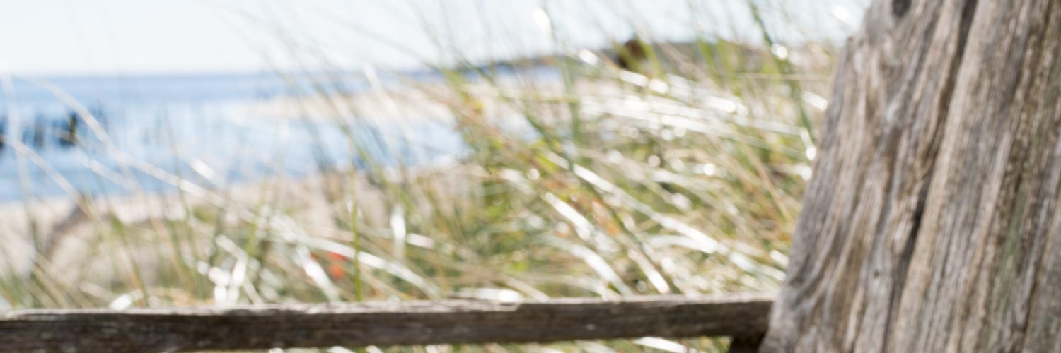 bath and body products